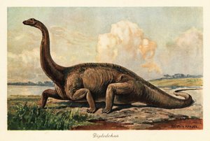 Wymarły Diplodocus longus na równinach.