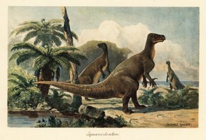 Iguanodon bernissartensis w prehistorycznym lesie paprociowym.