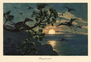 Pterozaury Rhamphorhynchus latające w świetle księżyca. autorstwa Heinrich Harder