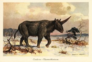 Jednorożec syberyjski, Elasmotherium sibiricum, na zaśnieżonej równinie.