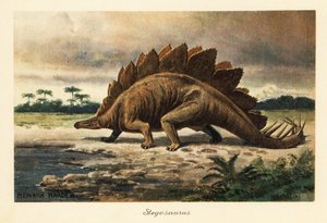 Stegosaurus armatus z późnej jury.