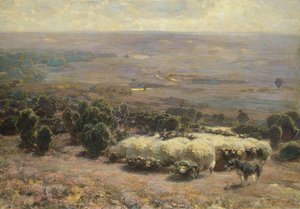 Stado owiec w Luneburger Heide, 1902