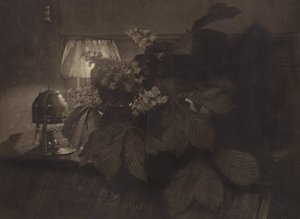 [Martwa natura z kwiatami kasztanowca, lampą i urną].