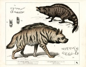  autorstwa Heinrich Leutemann