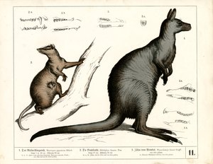  autorstwa Heinrich Leutemann