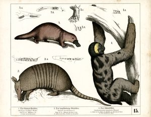  autorstwa Heinrich Leutemann