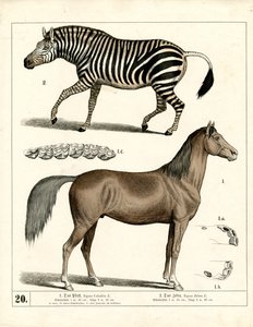  autorstwa Heinrich Leutemann