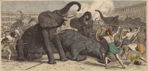 Zabijanie schwytanych słoni na rzymskiej arenie autorstwa Heinrich Leutemann