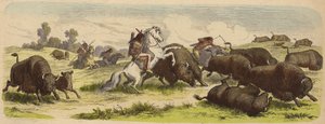 Rdzenni Amerykanie na koniach polujących na bawoły (kolorowy grawerunek) autorstwa Heinrich Leutemann