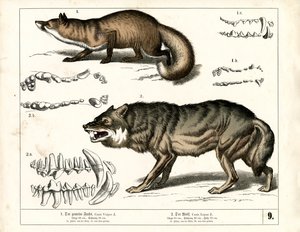  autorstwa Heinrich Leutemann
