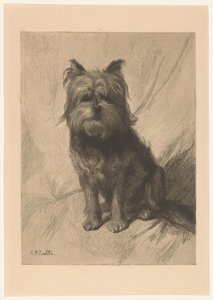 holenderski smoushond autorstwa Heinrich M. Krabbé