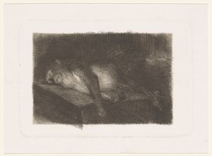 Leżąca, śpiąca małpa autorstwa Heinrich M. Krabbé