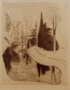 Park w Dilborn, 1914