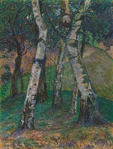 Brzozy w Barkenhoff, 1913.