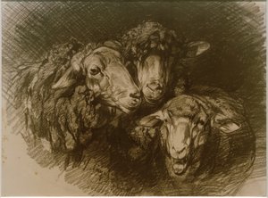 Owce autorstwa Heinrich von Zügel