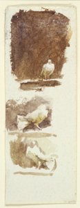 Gołębie (wc na papierze) autorstwa Helen Allingham