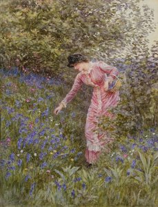 Gathering Bluebells (wc z kolorem nadwozia na papierze) autorstwa Helen Allingham