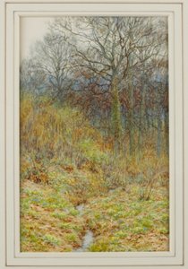 Nasze drewno pierwiosnkowe, 1913 autorstwa Helen Allingham
