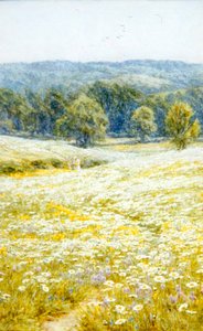 Stokrotki Oxeye Daisies, niedaleko Westerham, Kent (akwarela na papierze) autorstwa Helen Allingham