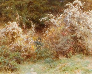 Travelers Joy: Surrey Hedgerow (toaleta na papierze) autorstwa Helen Allingham