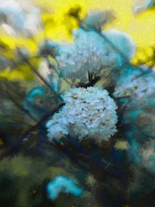Kwitnący maj, 2019 autorstwa Helen White