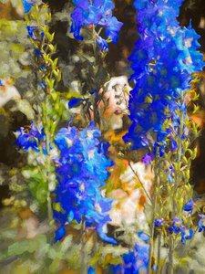 Niebieskie Delphinium, 2019 autorstwa Helen White