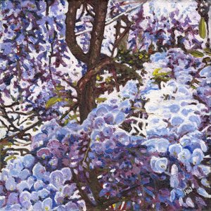Niebieska glicynia, 2012 autorstwa Helen White