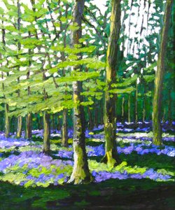 Bluebell Wood, 2009 (olej na płótnie) autorstwa Helen White