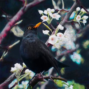 Władca Letniej Piosenki, 2019 autorstwa Helen White