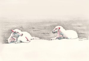 Drzemka, 2016, (rysunek ołówkiem) autorstwa Helen White