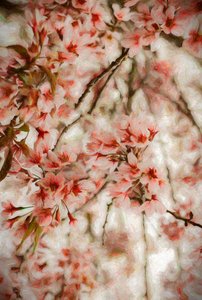 Orientalis, 2020 autorstwa Helen White