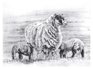 Dumny, 2012 autorstwa Helen White