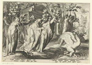 Siostry Phaethona zamieniają się w topole, a jego przyjaciel w łabędzia Metamorfozy Owidiusza (tytuł serii) autorstwa Hendrick Goltzius (workshop of)