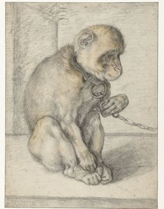 Siedząca małpa na łańcuchu Małpa na łańcuchu, siedząca autorstwa Hendrick Goltzius