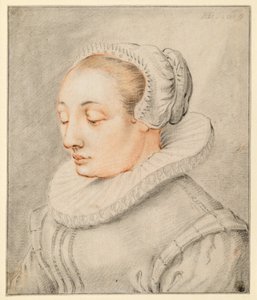  autorstwa Hendrick Goltzius