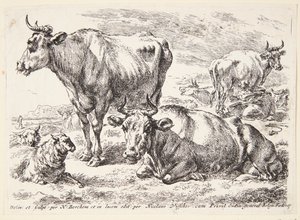 Portret członka rodziny Out. Cornelis Out (?) autorstwa Hendrick Goltzius