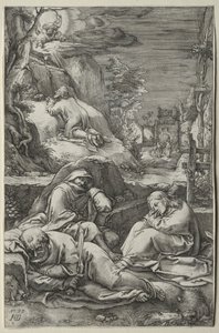 Pasja: Agonia w ogrodzie autorstwa Hendrick Goltzius