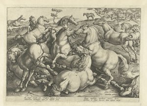Dwanaście koni bojowych Rasy koni z Królewskich Stajni Don Juana Austrii (tytuł serii) autorstwa Hendrick Goltzius