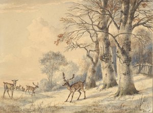 Jeleń pod bukami latem 1853.