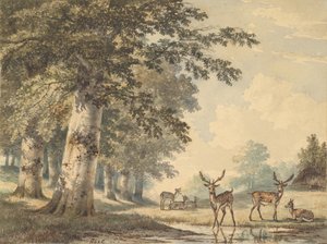 Jeleń pod bukami zimą 1853 r.