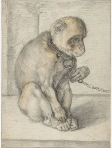 Siedząca małpa na łańcuchu. 1592-1602 autorstwa Hendrik Goltzius