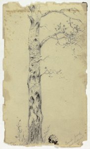 Regent Park w pobliżu kanału autorstwa Hendrik Pieter Koekkoek