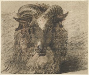 Głowa barana autorstwa Hendrik Stokvisch