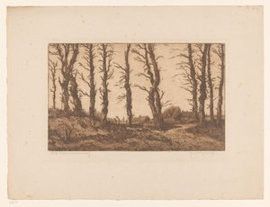 Oud Blaricummerweg (oryginalny tytuł na obiekcie) autorstwa Hendrik Weegewijs (signed by artist)