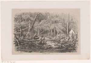 Drzewa zwalone na Jacobalaan, po burzy 28 maja 1860 Jacobalaan (tytuł na obiekcie) Album dziesięciu litografowanych szkiców, przedstawiających Tooneelena Zniszczenia, Poruszony burzą z 28 maja 1860 r. w Gravenhaagsche Bosch, autorstwa Hendrik Wilhelmus Last