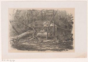 Zwalone drzewo w Buitenlust, po burzy 28 maja 1860 Buitenlust (tytuł na obiekcie) Album dziesięciu litografowanych szkiców, przedstawiających Tooneelen Zniszczenia, Poruszony burzą z 28 maja 1860 r. w Gravenhaagsche Bosch, w S.
