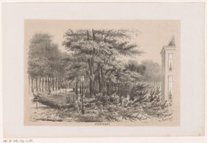 Zwalone drzewo w pobliżu Voorhout, po burzy z 28 maja 1860 r Voorhout (tytuł na obiekcie) Album dziesięciu litografowanych szkiców, przedstawiających Tooneelena Zniszczenia, Poruszony burzą 28 maja 1860 r. w Gravenhaagsche Bosch, w Schev autorstwa Hendrik Wilhelmus Last