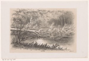 Drzewo zdmuchnięte, po burzy 28 maja 1860 Staw (tytuł na obiekcie) Album dziesięciu litografowanych szkiców, przedstawiających Tooneelena Zniszczenia, Poruszony burzą z 28 maja 1860 r. w Gravenhaagsche Bosch, w Scheveningen itp. (
