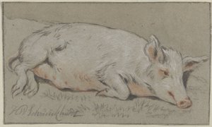 leżąca świnia autorstwa Hendrik Willem Schweickhardt (signed by artist)
