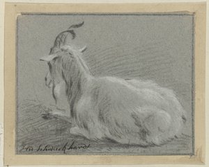leżąca koza autorstwa Hendrik Willem Schweickhardt (signed by artist)